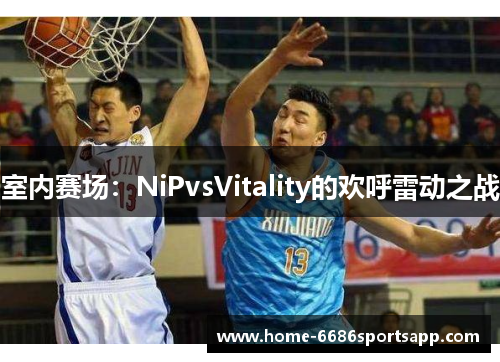 室内赛场：NiPvsVitality的欢呼雷动之战